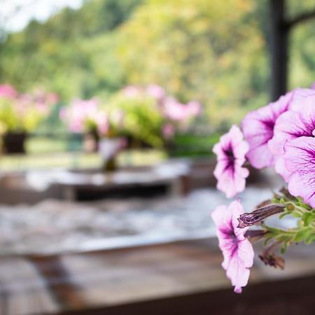 スリ・ルー Chalets Runolistヴィラ エクステリア 写真